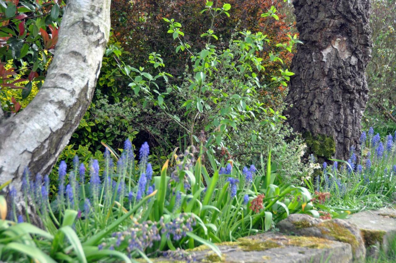 Bridleways Guesthouse & Holiday Homes Mansfield Esterno foto